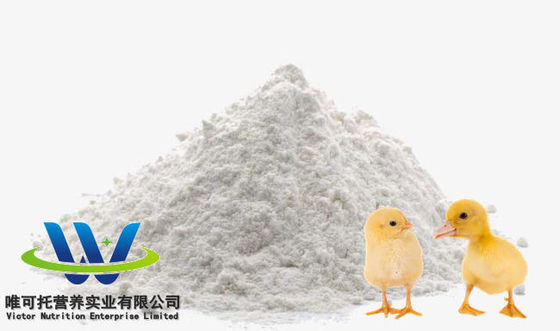 식품용품 HCl 수 sulfate L Lysine 98.5% 70% 식품용품 첨가물