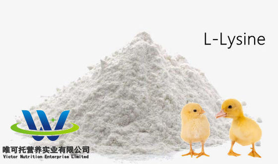 식품용품 HCl 수 sulfate L Lysine 98.5% 70% 식품용품 첨가물